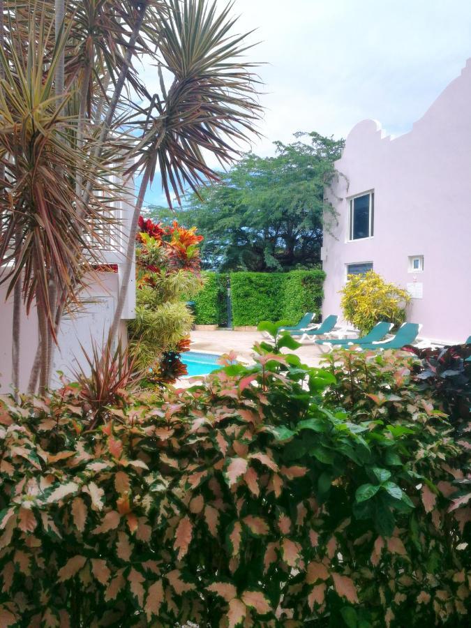 Agua Clara Eco Suites Oranjestad Kültér fotó